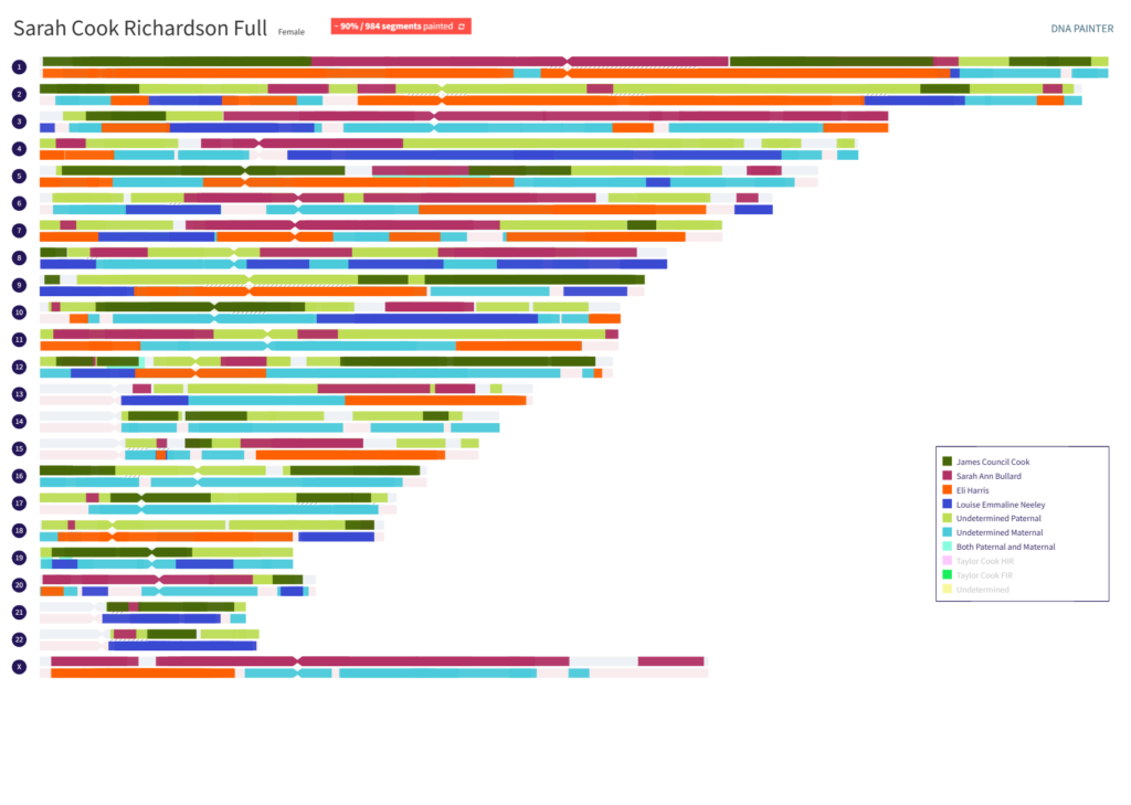 Sarah Cook Richardson DNA Painter chromosome map.