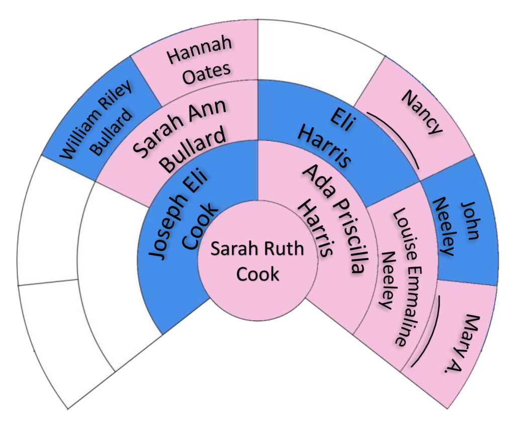 X-DNA inheritance chart for Sarah Ruth Cook Richardson.