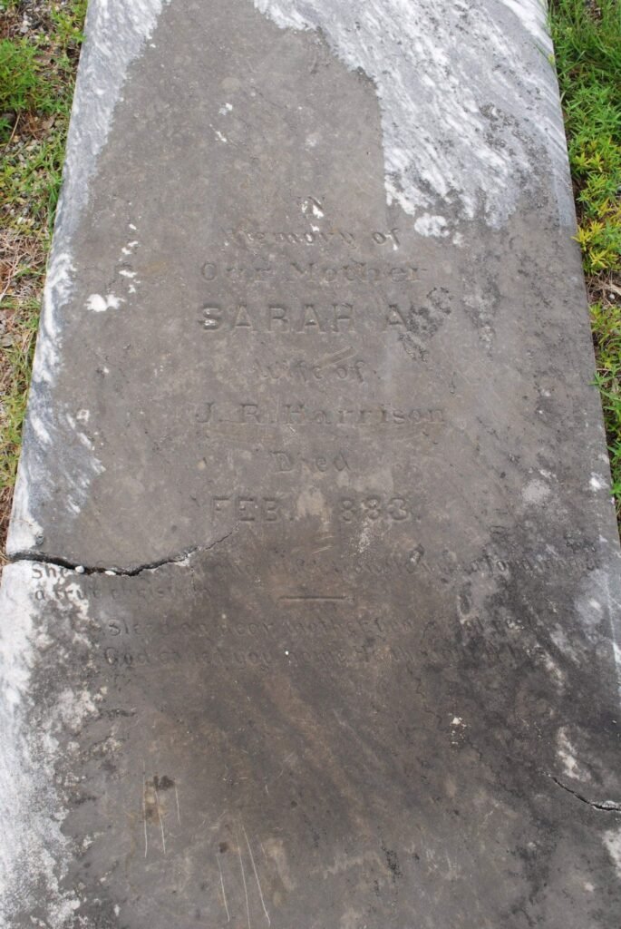 Grave marker of Sarah Ann (Richardson) Harrison, Mt. Hebron Cemetery, Elmore, 2009.