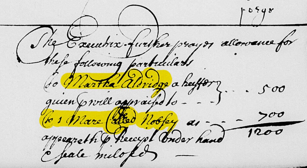 Execution of estate, giving mare Nobsey to Martha Aldridge.